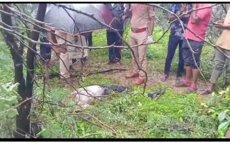 हातोड्याने वार करत 14 वर्षीय मुलाची निर्घुण हत्या; दोन आरोपींना पोलिसांनी ठोकल्या बेड्या