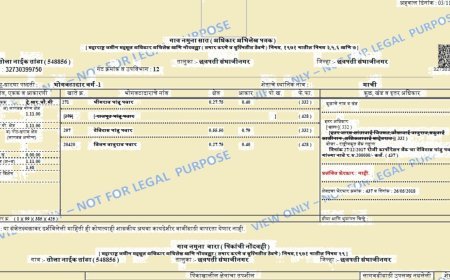 जिवंत सातबारा मोहिम राज्यभरात राबवली जाणार, राज्य सरकारचा मोठा निर्णय