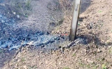 जालन्यात जमिनीतून 'लावा' नव्हे, तर 'शॉर्ट सर्किट'मुळे वितळले दगड; महावितरणचे स्पष्टीकरण